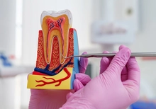 Día del Endodoncista