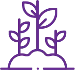 Jornada de siembra de árboles Pereira