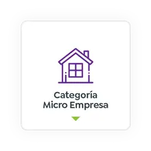 Categoría Micro Empresa