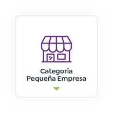 Categoría Pequeña Empresa
