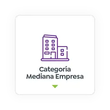 Categoría Mediana Empresa