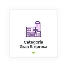 Categoría Gran Empresa