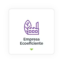 Empresa Ecoeficiente