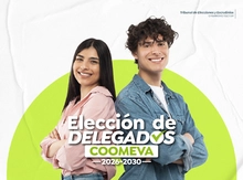 CONSULTA HABILIDAD VOTAR-04