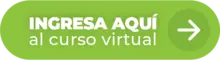 Ingresa aquí al curso virtual