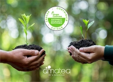 Regala árnoles y actúa contra el cambio climático