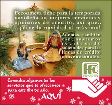 Pfeco_navidad