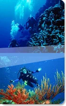 C6529_25157_programceBuceo