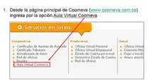 Cómo ingresar a nuestra Aula Virtual_2