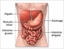 iesp_gastro2.gif