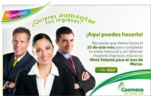 p_promotores2