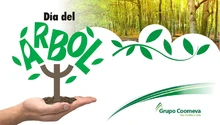 Pantallazo_dia_del_arbol