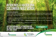 p_colaboradoresVerde1