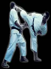 ibac_karate1.jpg