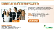 p_fincaRaizAvaluos