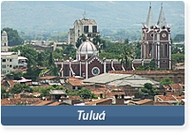 29590_tulua