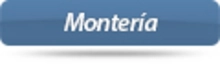 38429_monteria