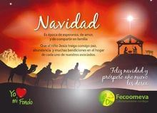 p_FECO_Navidad2013