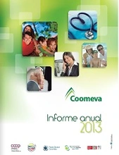 informe 2013