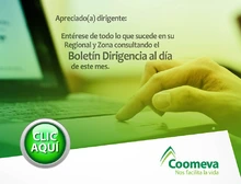 Emailing bol dirigencia-01