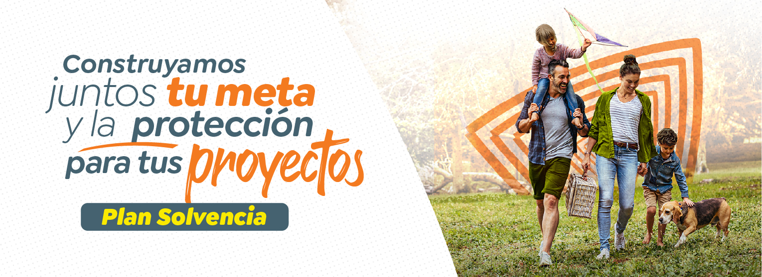 Plan Solvencia Plan Solvencia