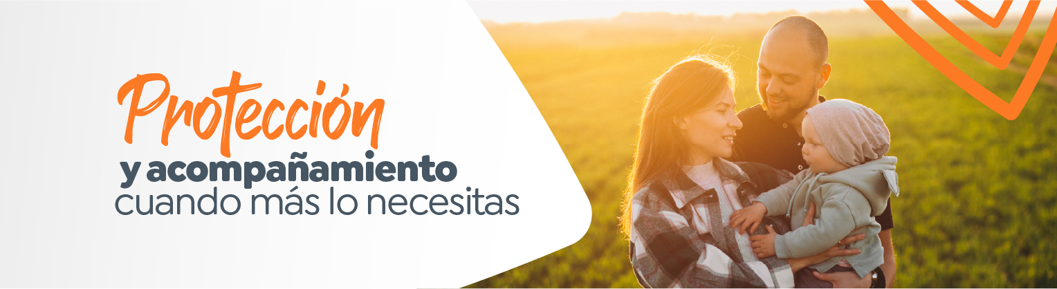 Plan Básico de Protección 